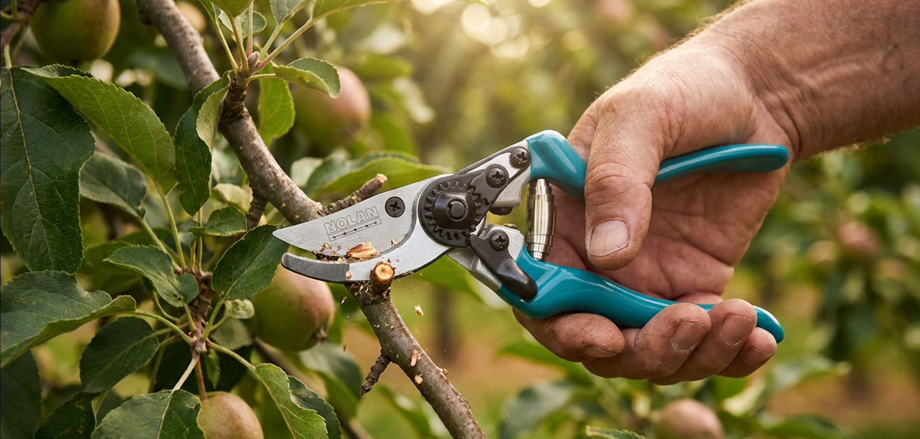 GARDEN SCISSORS